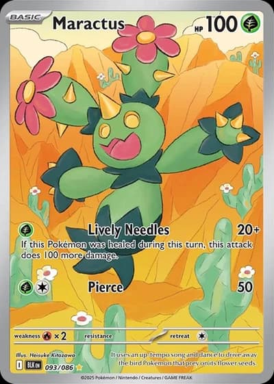 Maractus 093/086