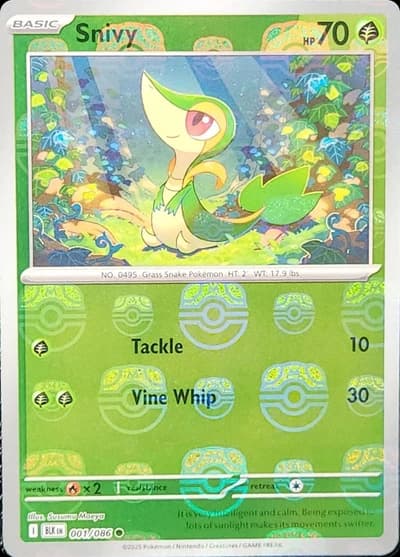 Snivy (Master Ball Pattern)