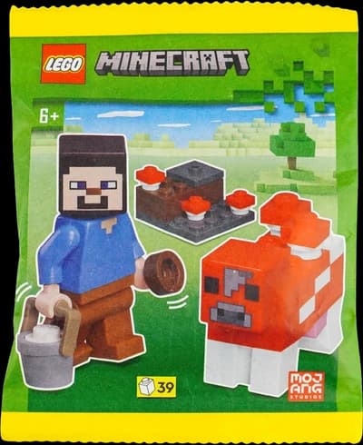 LEGO Minecraft Polybag
