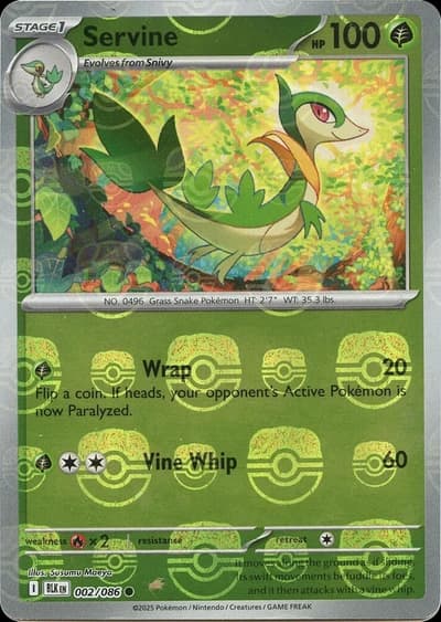 Servine (Master Ball Pattern)